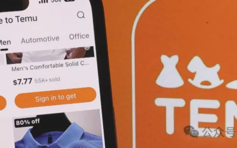 欧盟突击搜查Temu欧洲总部