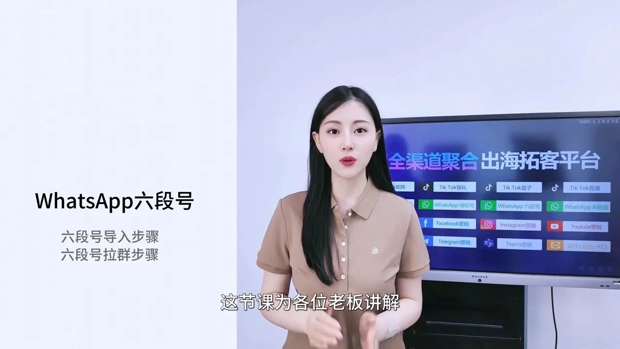 WhatsApp六段号营销：利用六段号资源构建WhatsApp私域流量，提升转化率
